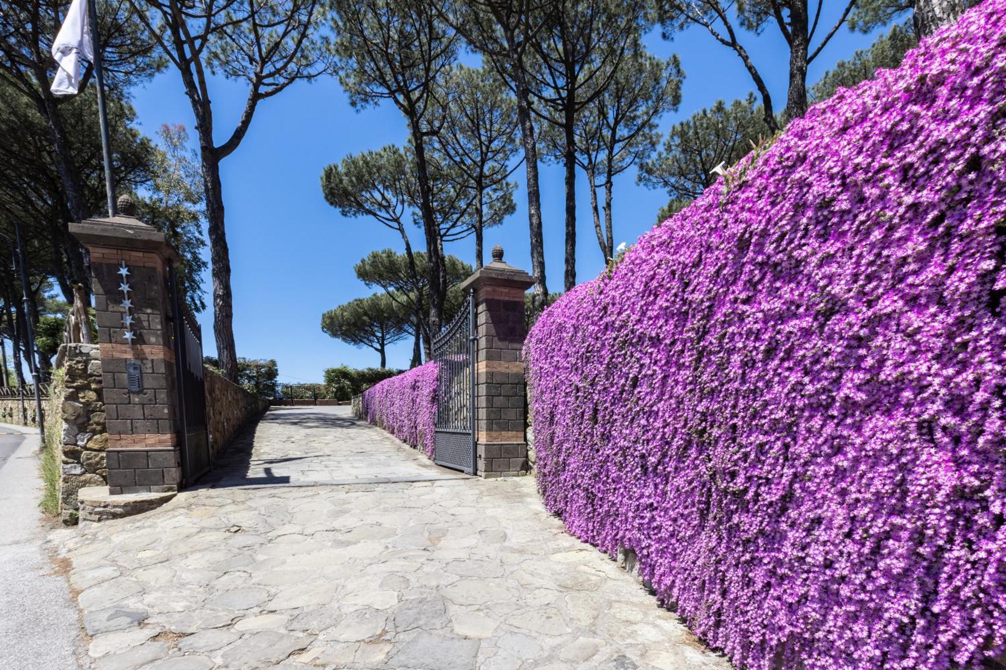 Oasi Olimpia Relais Hotel Sant'Agata sui due Golfi Luaran gambar